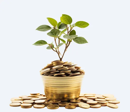 Mudarabaha Saving Deposit Account