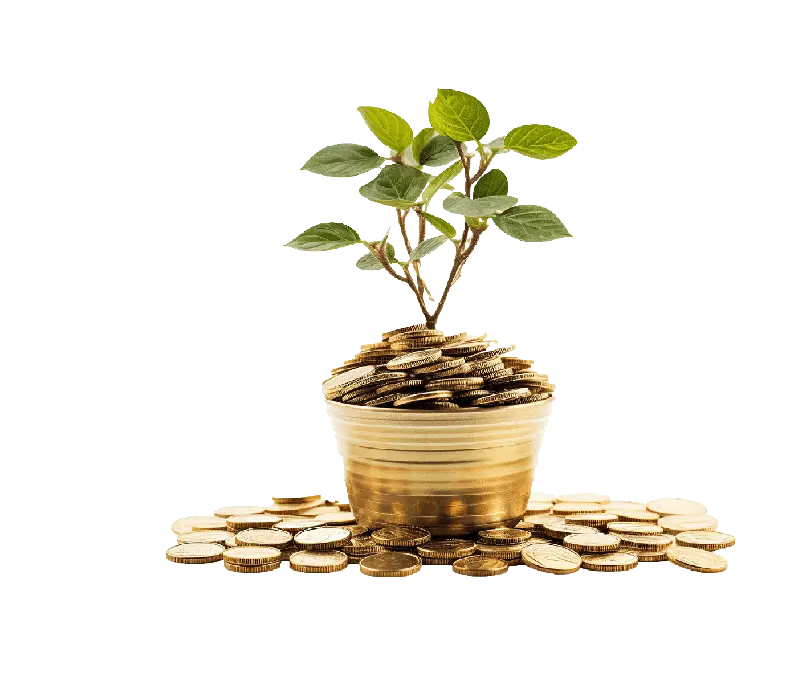 Mudharaba Individual Saving Account