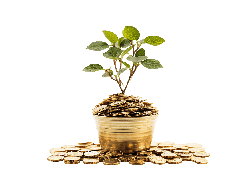 Mudharaba Individual Saving Account