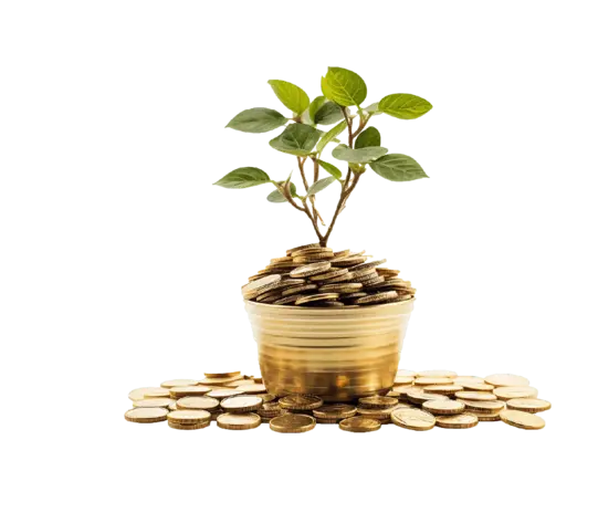 Mudharaba Individual Saving Account