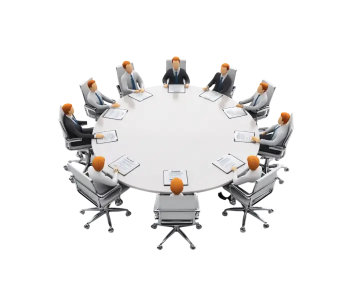 Committees under the supervision of the Supervisory Board